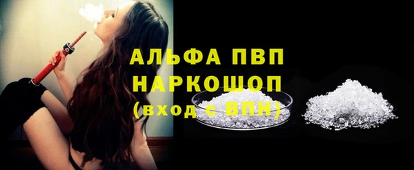 амф Гатчина
