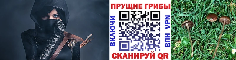 Псилоцибиновые грибы MAGIC MUSHROOMS Лебедянь